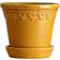 Bergs Potter Copenhagen Glazed Pot ∅3.937"