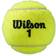 Wilson Roland Garros All Court - 3 Balls