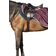Horseware Amigo Ripstop Competition Sheet