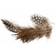 Creativ Company Guinea Fowl Feathers Natural 50g