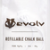 Evolv Chalk Ball Refillable