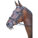 Shires Rossano Milan Bridle Black X-Full