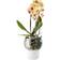 Eva Solo Orchid Pot ∅5.906"