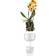 Eva Solo Orchid Pot ∅15cm