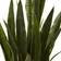 Nearly Natural Sansevieria Plant 35"