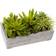 Nearly Natural Succulent Garden Planter Box 12.75x8.5"