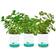 Back To The Roots Kitchen Herb Garden 3-pack