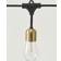 Brightech Glow Hanging 12L Fairy Light 12 Lamps