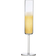 Schott Zwiesel Modo Champagne Glass 5.5fl oz 4