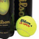 Wilson US Open 16Pcs - 16 Balls