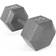 Cap Barbell Cast Iron Hex Dumbbell 65lbs
