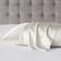 Madison Park Mulberry Silk Pillow Case Beige (66.04x50.8)