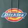 Dickies Water Repellent Tri-Color Logo Hoodie - Lincoln Green