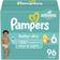 Pampers Baby Dry Diapers Size 6 96pcs