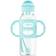Dr. Brown's Milestones Sippy Straw Bottle with Silicone Handles Aqua