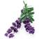 Click and Grow Lavender Smart Garden Refill 3-pack