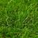 vidaXL Artificial Grass 1x10m