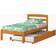 Donco kids Econo Twin Bed with Trundle 41.5x78.2"