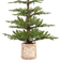 Haute Decor 5ft. Pre-Lit Timberland Fir Artificial Christmas Tree 60"