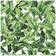 RoomMates Tropical Leaf (RMK11045WP)