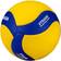 Mikasa Unisex - Adult VT500W Volleyball