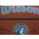 Wilson NBA Team Alliance