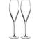 Luigi Bormioli Prosecco Champagne Glass 9.1fl oz 2
