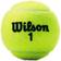 Wilson Championship - 3 Balls