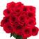 Red Roses Large Bouquet