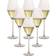 Hadeland Glassverk Odyssey Champagneglass 32cl 6st