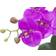 Europalms Orchid Arrangement 4 Künstliche Pflanzen