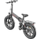 Engwe EP-2 Pro Folding Electric Bike 2022 - Black Unisex