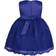 Renvena Toddler Embroidered 3D Flower Dress Princess Pageant Christening Baptism Party - Blue