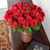 Love Flowers Premium Ecuadorian Bunches 25
