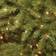 National Tree Company Pre-Lit Dunhill Fir Hinged Artificial Christmas Tree 54"