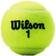 Wilson Championship - 12 Balls