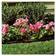 Suncast Professional Garden Edging 74.9x15.2"