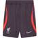 Nike 2023-2024 Liverpool Training Shorts Gridiron Grey 42-44" Waist 109/121cm