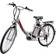 iDeaPlay P20 24 inch Electric Bike for Adults