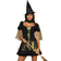 Morris Evil Witch Women Costume