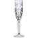 RCR Oasis Champagneglass 16cl 6st