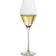 Hadeland Glassverk Odyssey Champagneglass 32cl 6st