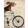 Happy Larry Cycling Tour Basset On Bike Multicolor Bild 30x40cm
