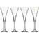 Orrefors Helena Champagne Glass 8.5fl oz 4