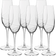 Luigi Bormioli Aero Champagne Glass 7.9fl oz 6
