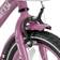 Joystar Starry Girls Bike Kids Bike