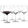 Holmegaard Perfection Sommelier Red Wine Glass 30.4fl oz 6