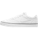Nike SB Chron 2 Canvas - White