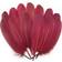 Goose Feathers Burgundy 100-pack