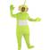 Fun Dipsy Teletubbies Costume for Adults